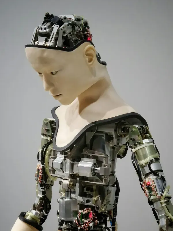 AI in niche markets: how to build advantage and efficiency